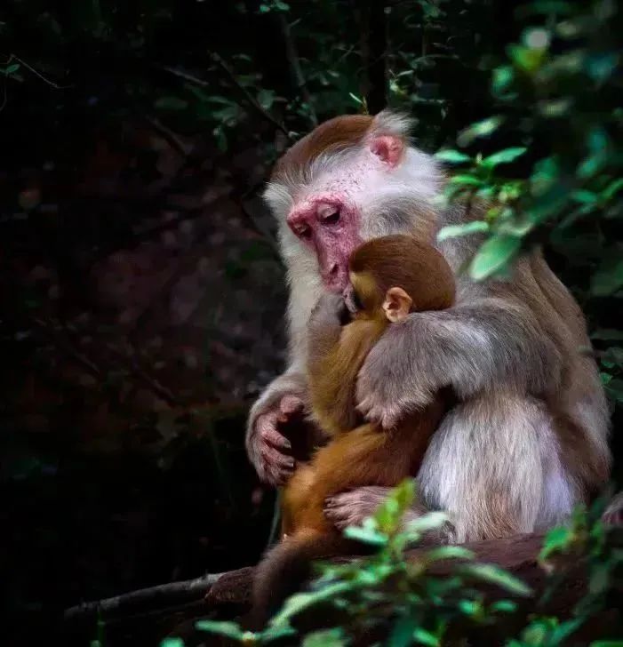 仁寿黑龙滩旅游攻略-仁寿黑龙滩风景图(图5) 仁寿黑龙滩旅游攻略_仁寿黑龙滩风景图_仁寿黑龙滩一日游攻略