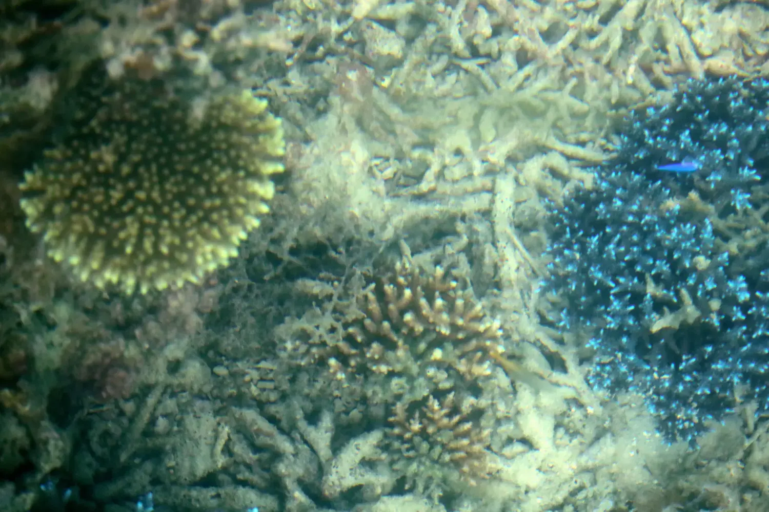 邮轮冲绳旅游攻略-旅游游轮游日本冲绳岛(图9) 邮轮冲绳旅游攻略_旅游游轮游日本冲绳岛_冲绳邮轮下船自由活动