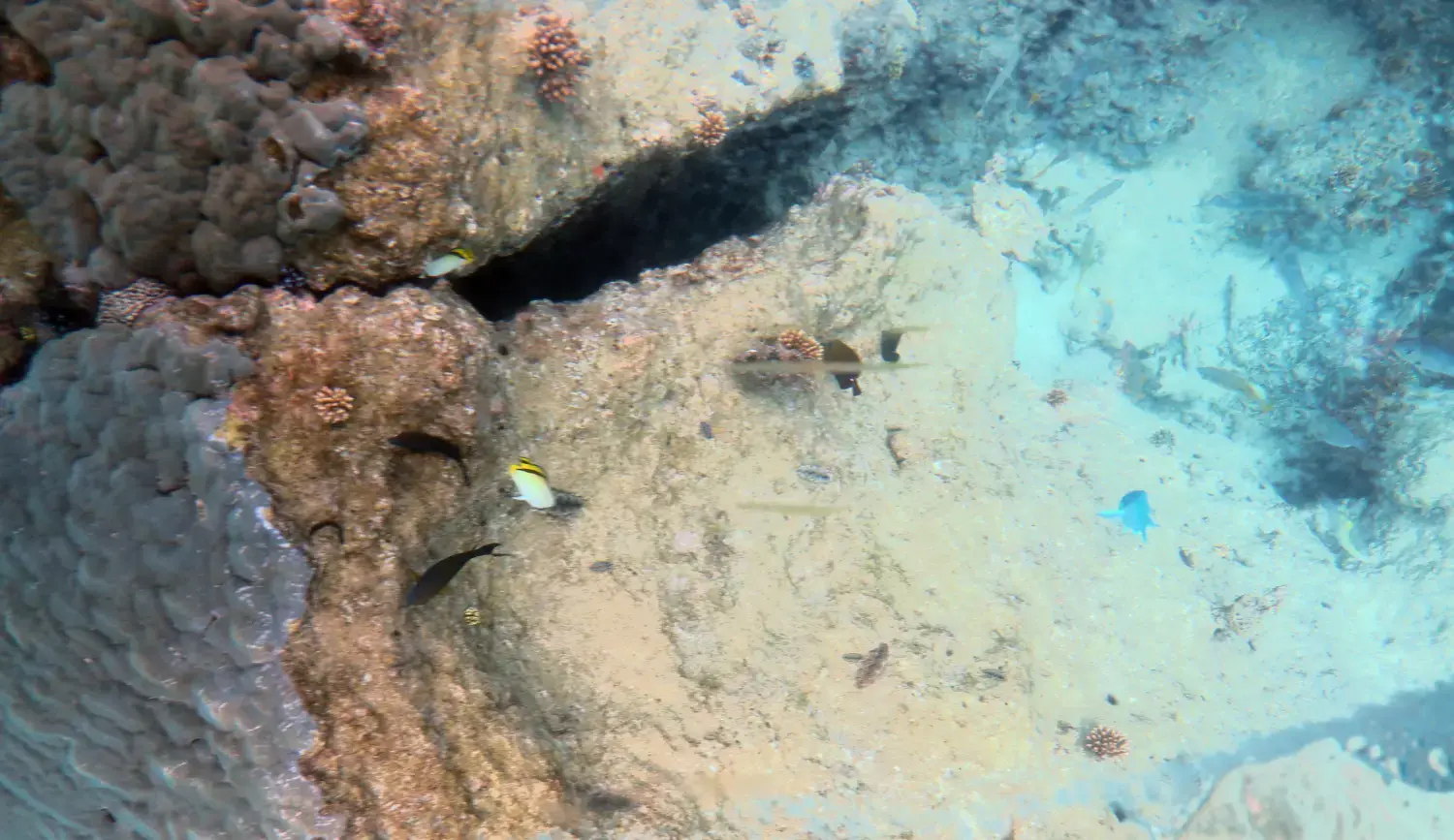 邮轮冲绳旅游攻略-旅游游轮游日本冲绳岛(图10) 冲绳邮轮下船自由活动_邮轮冲绳旅游攻略_旅游游轮游日本冲绳岛