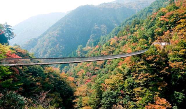 邮轮冲绳旅游攻略-冲绳邮轮下船自由活动(图17) 冲绳邮轮下船自由活动_邮轮冲绳旅游攻略_旅游游轮游日本冲绳岛