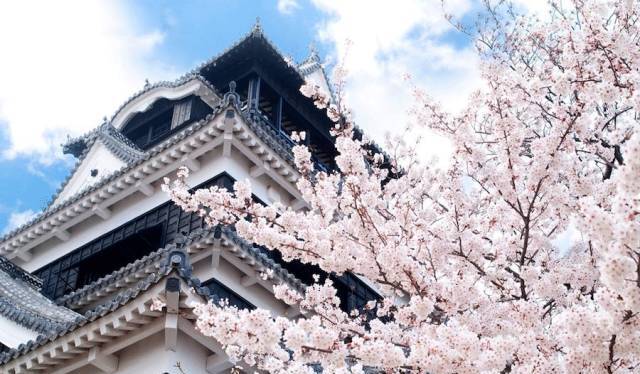 邮轮冲绳旅游攻略-冲绳邮轮下船自由活动(图20) 旅游游轮游日本冲绳岛_冲绳邮轮下船自由活动_邮轮冲绳旅游攻略