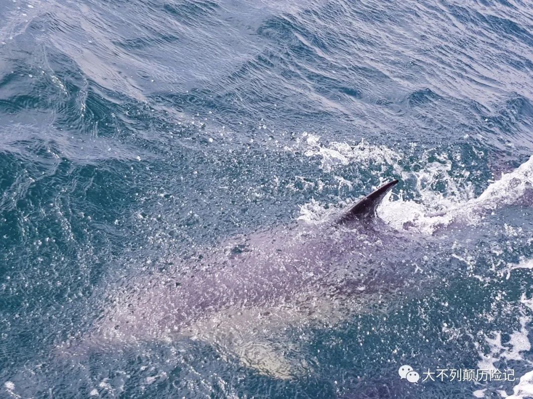 去天涯海角旅游攻略-天涯海角景区怎么样(图18) 天涯海角景区怎么样_天涯海角景区要门票吗_去天涯海角旅游攻略