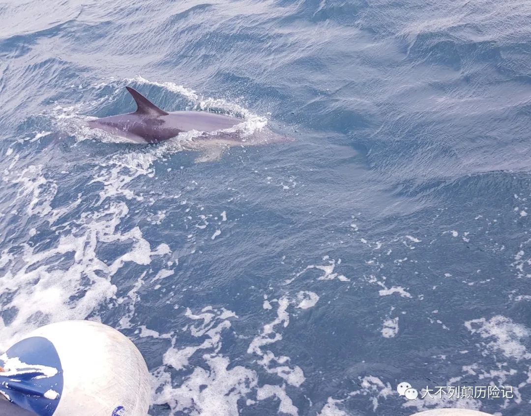 去天涯海角旅游攻略-天涯海角景区怎么样(图19) 天涯海角景区要门票吗_天涯海角景区怎么样_去天涯海角旅游攻略