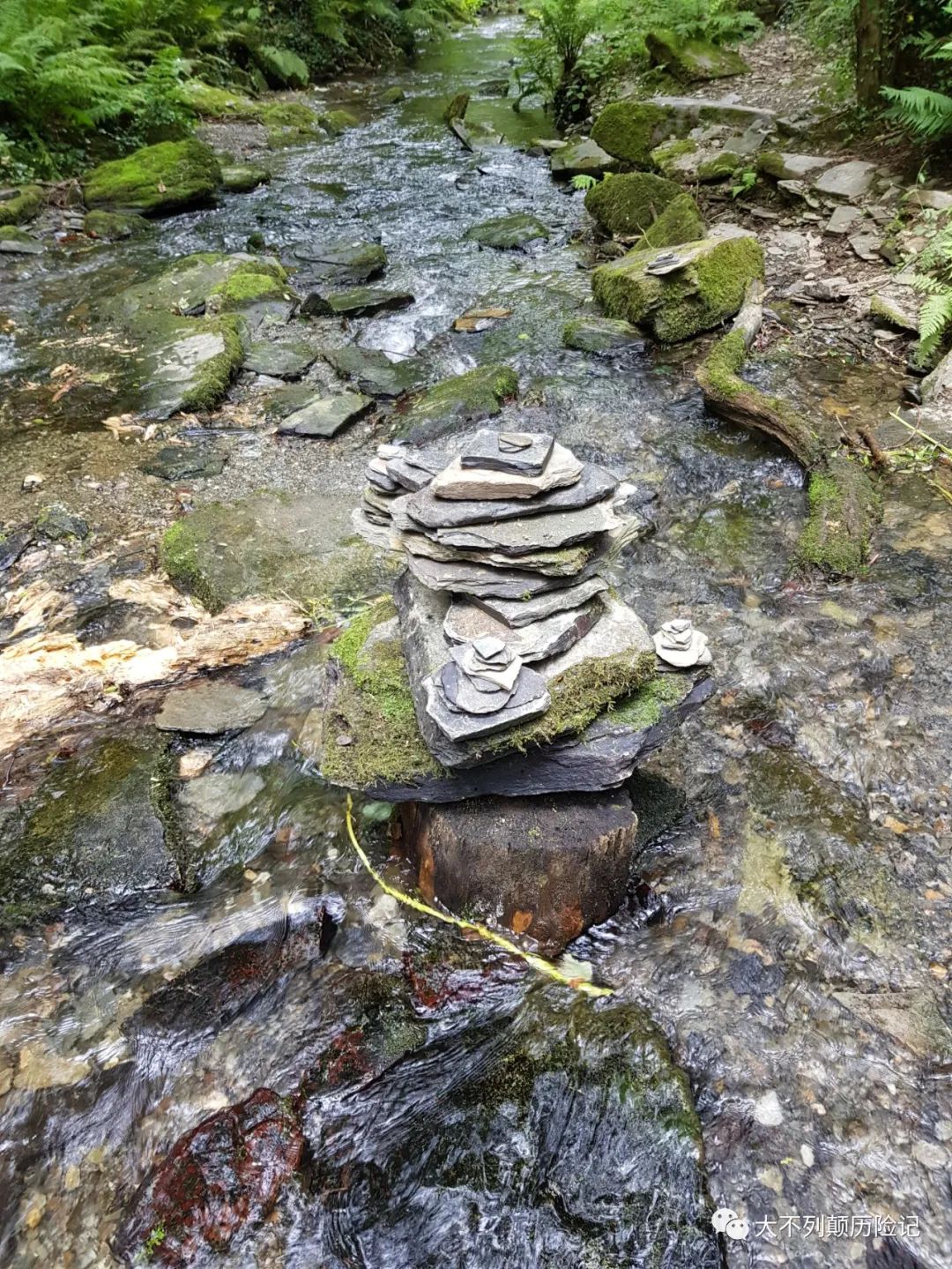 去天涯海角旅游攻略-天涯海角景区怎么样(图22) 去天涯海角旅游攻略_天涯海角景区要门票吗_天涯海角景区怎么样