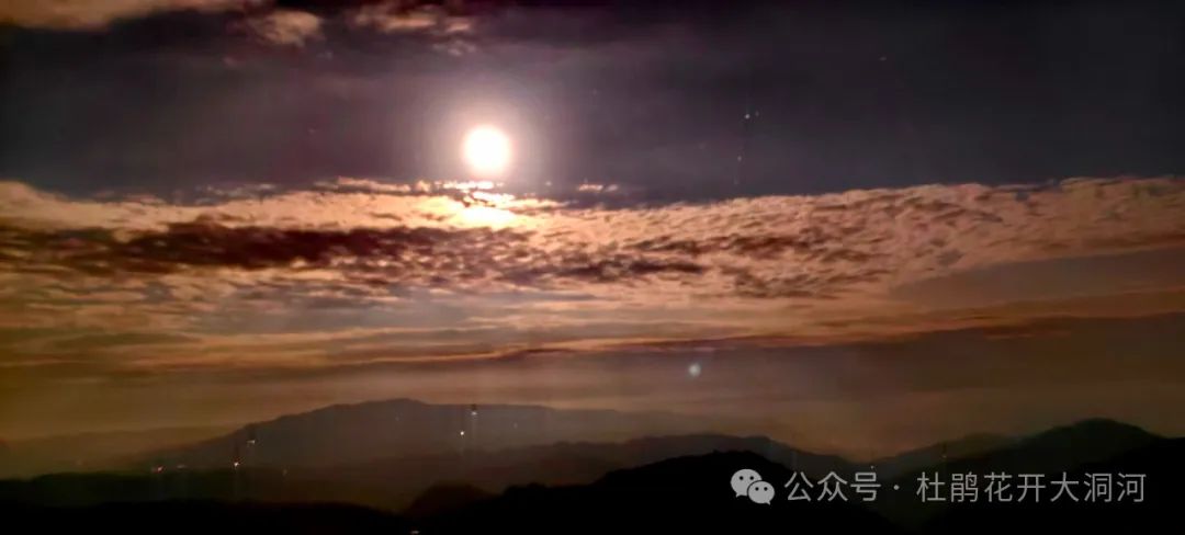 重庆武隆仙女山旅游攻略-重庆武隆旅游景点仙女山(图18) 重庆武隆旅游景点仙女山_重庆武隆仙女山风景图片_重庆武隆仙女山旅游攻略