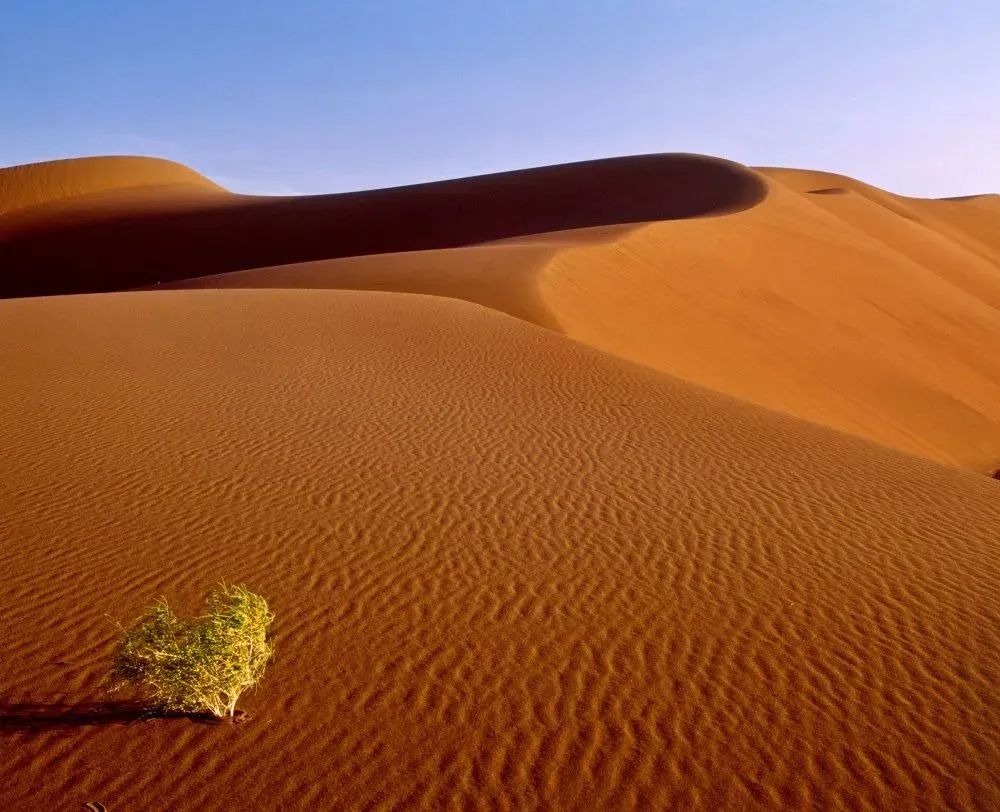 新疆昌吉旅游攻略-新疆昌吉旅游景点(图8) 新疆昌吉旅游景点_新疆昌吉旅游攻略_新疆昌吉好玩吗