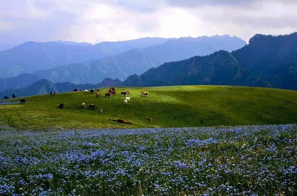 新疆昌吉旅游攻略-新疆昌吉旅游景点(图16) 新疆昌吉好玩吗_新疆昌吉旅游景点_新疆昌吉旅游攻略