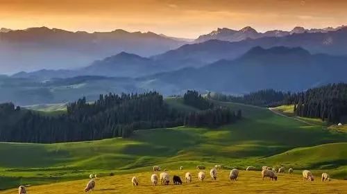 新疆昌吉旅游攻略-新疆昌吉旅游景点(图24) 新疆昌吉好玩吗_新疆昌吉旅游景点_新疆昌吉旅游攻略