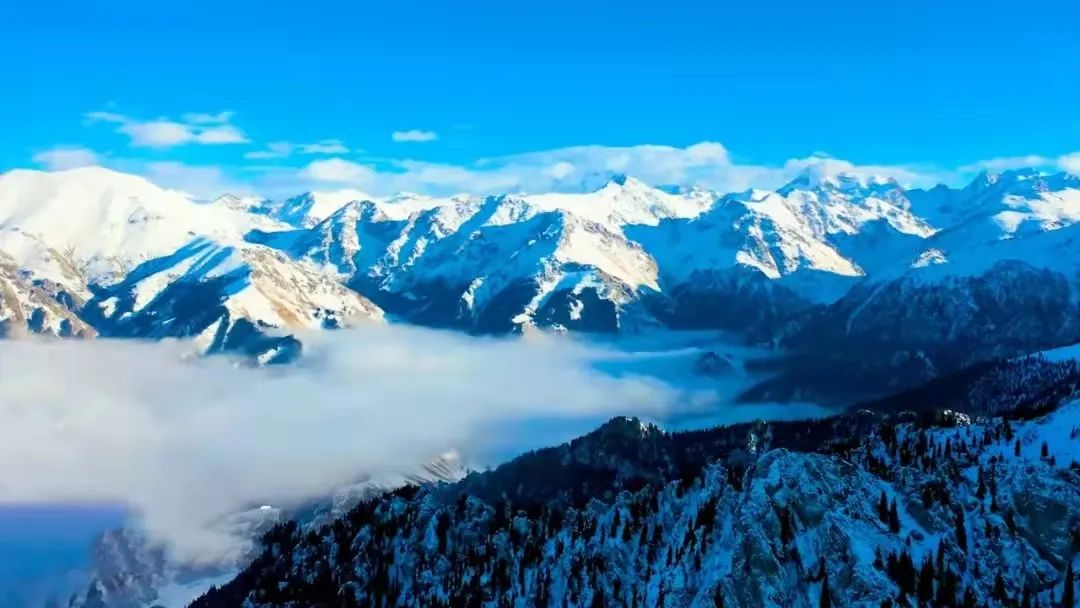 新疆昌吉旅游攻略-新疆昌吉旅游景点(图5) 新疆昌吉旅游攻略_新疆昌吉旅游景点_新疆昌吉好玩吗