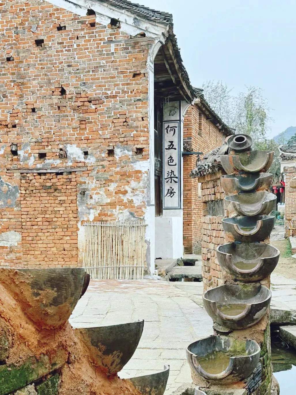 北投阳明山国家公园旅游攻略-阳明山体公园(图15) 阳明山体公园_阳明山自然公园_北投阳明山国家公园旅游攻略