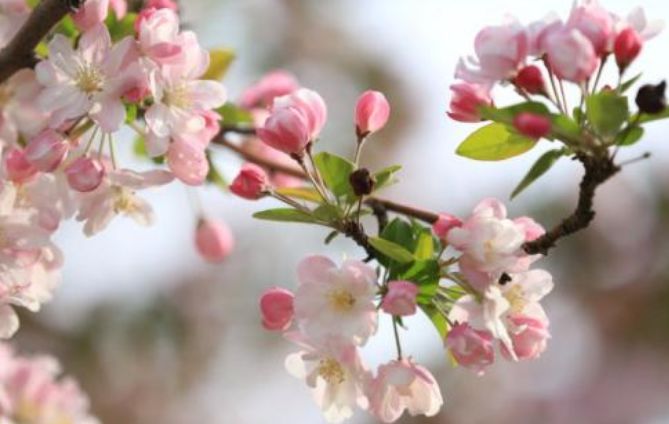 怀柔夏季旅游攻略_怀柔旅游必去十大景点_北京怀柔春天旅游攻略