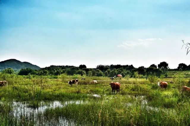 怀柔旅游必去十大景点_北京怀柔春天旅游攻略_怀柔夏季旅游攻略