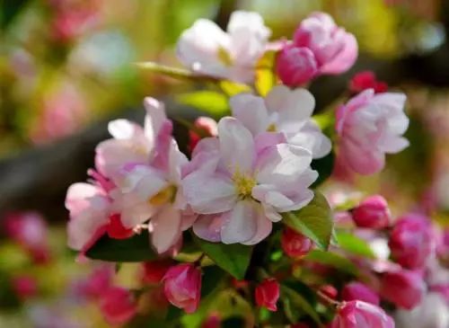 怀柔旅游必去十大景点_怀柔夏季旅游攻略_北京怀柔春天旅游攻略