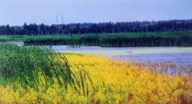 怀柔夏季旅游攻略_北京怀柔春天旅游攻略_怀柔旅游必去十大景点