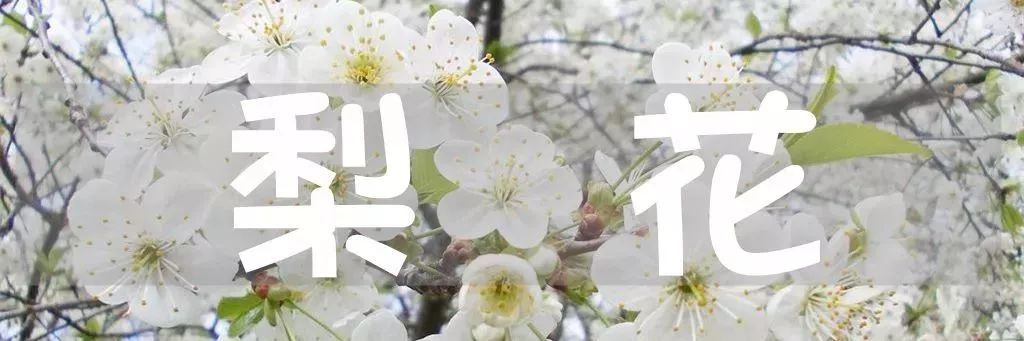 怀柔旅游必去十大景点_怀柔夏季旅游攻略_北京怀柔春天旅游攻略