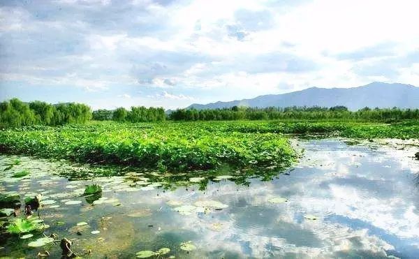 怀柔旅游必去十大景点_北京怀柔春天旅游攻略_怀柔夏季旅游攻略