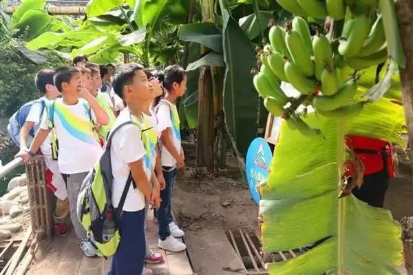 怀柔旅游必去十大景点_怀柔夏季旅游攻略_北京怀柔春天旅游攻略