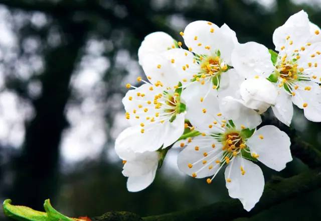 怀柔旅游必去十大景点_怀柔夏季旅游攻略_北京怀柔春天旅游攻略