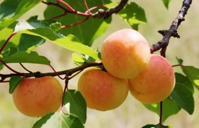 怀柔夏季旅游攻略_北京怀柔春天旅游攻略_怀柔旅游必去十大景点