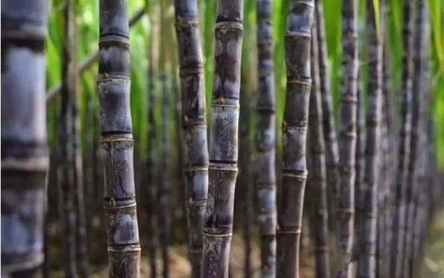 怀柔夏季旅游攻略_怀柔旅游必去十大景点_北京怀柔春天旅游攻略