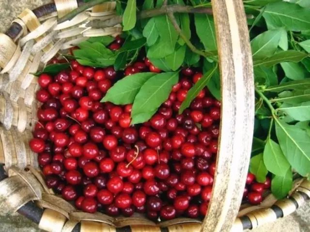 北京怀柔春天旅游攻略_怀柔旅游必去十大景点_怀柔夏季旅游攻略