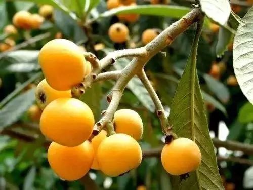 北京怀柔春天旅游攻略_怀柔旅游必去十大景点_怀柔夏季旅游攻略