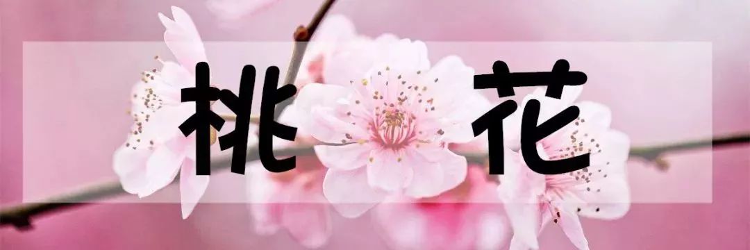 怀柔旅游必去十大景点_怀柔夏季旅游攻略_北京怀柔春天旅游攻略