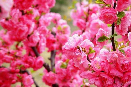 怀柔旅游必去十大景点_北京怀柔春天旅游攻略_怀柔夏季旅游攻略