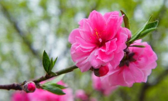 北京怀柔春天旅游攻略_怀柔旅游必去十大景点_怀柔夏季旅游攻略