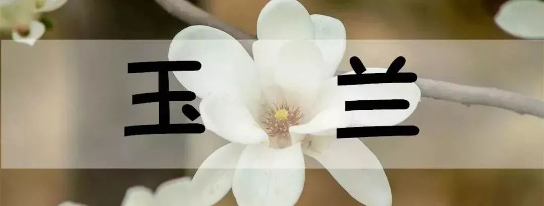 北京怀柔春天旅游攻略_怀柔旅游必去十大景点_怀柔夏季旅游攻略