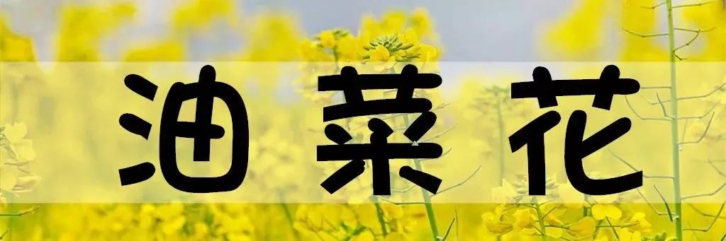 怀柔夏季旅游攻略_怀柔旅游必去十大景点_北京怀柔春天旅游攻略