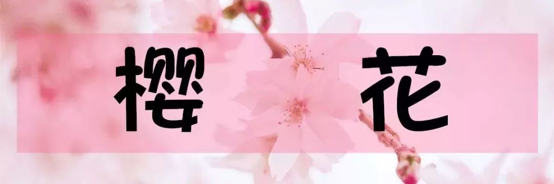 北京怀柔春天旅游攻略_怀柔夏季旅游攻略_怀柔旅游必去十大景点