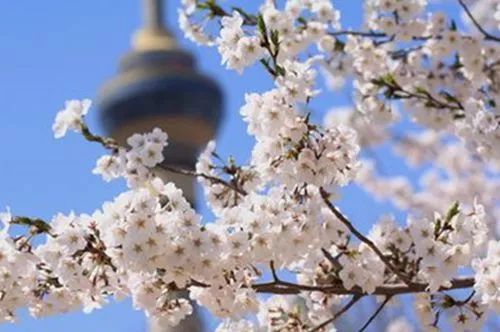 怀柔旅游必去十大景点_怀柔夏季旅游攻略_北京怀柔春天旅游攻略