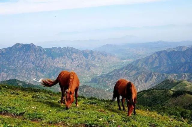 怀柔夏季旅游攻略_北京怀柔春天旅游攻略_怀柔旅游必去十大景点