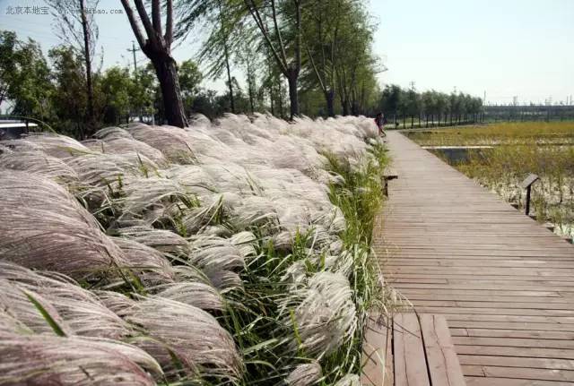 怀柔旅游必去十大景点_北京怀柔春天旅游攻略_怀柔夏季旅游攻略