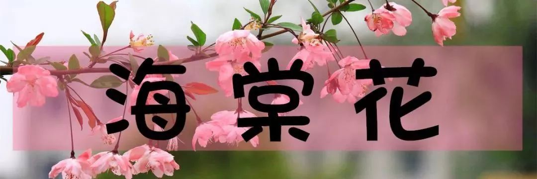 北京怀柔春天旅游攻略_怀柔旅游必去十大景点_怀柔夏季旅游攻略