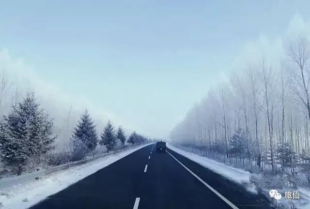 哈尔滨到伊春旅游攻略_哈尔滨到伊春怎么玩_哈尔滨到伊春沿途有什么景点