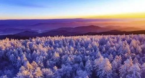 哈尔滨到伊春旅游路线_哈尔滨至伊春旅游攻略_哈尔滨到伊春旅游攻略