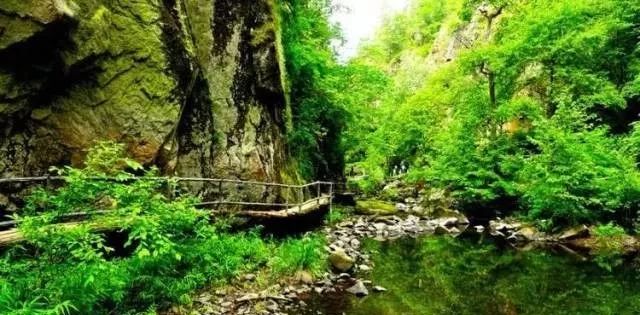 哈尔滨到伊春旅游攻略_哈尔滨到伊春旅游路线_哈尔滨至伊春旅游攻略