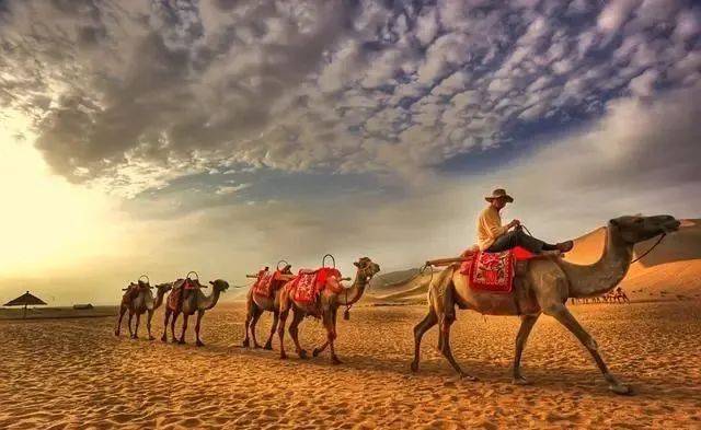 西安去沙坡头两日游_西安去沙坡头旅游攻略_西安出发沙坡头自驾游