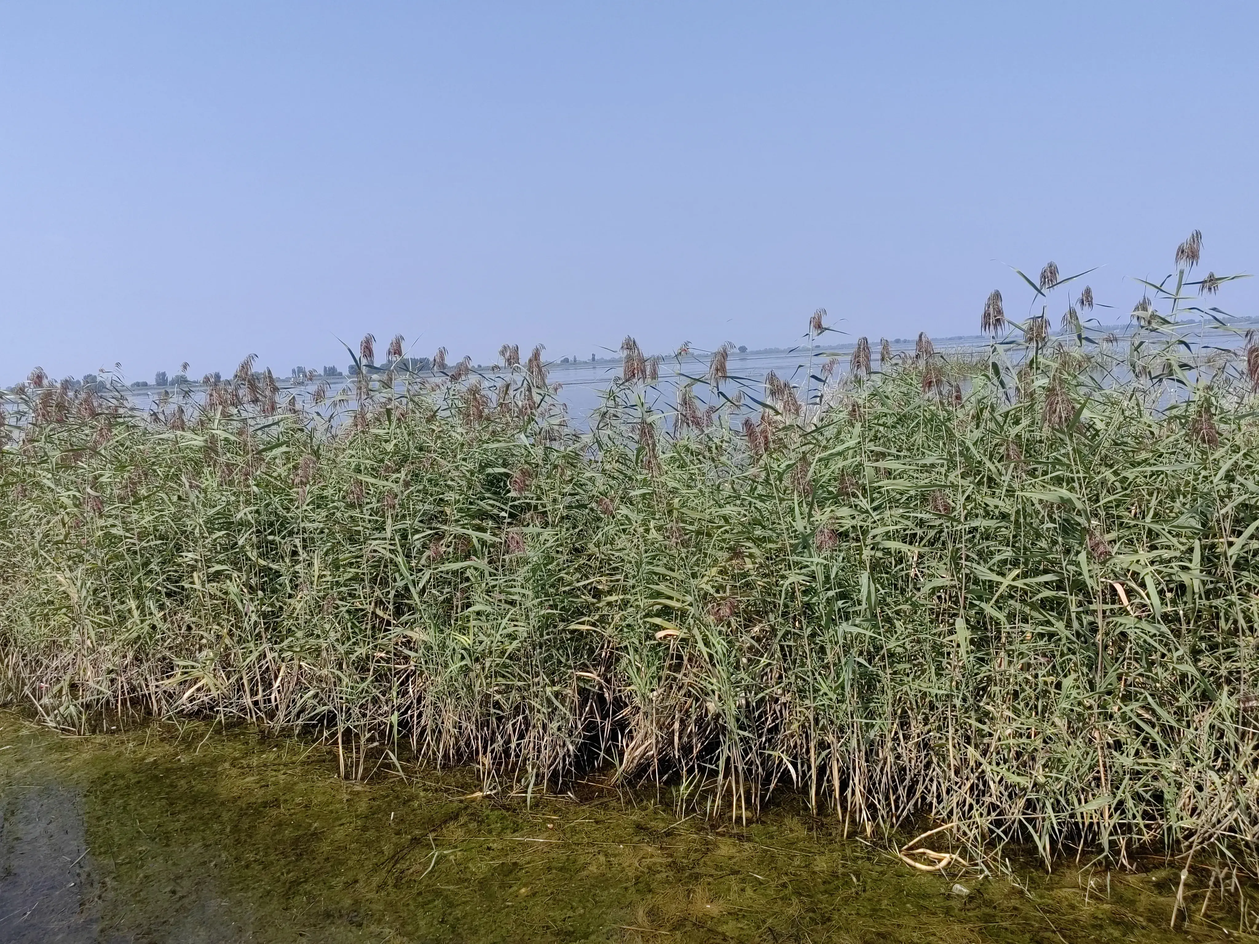 北京白洋淀旅游攻略_白洋淀旅游点_攻略白洋淀旅游北京路线