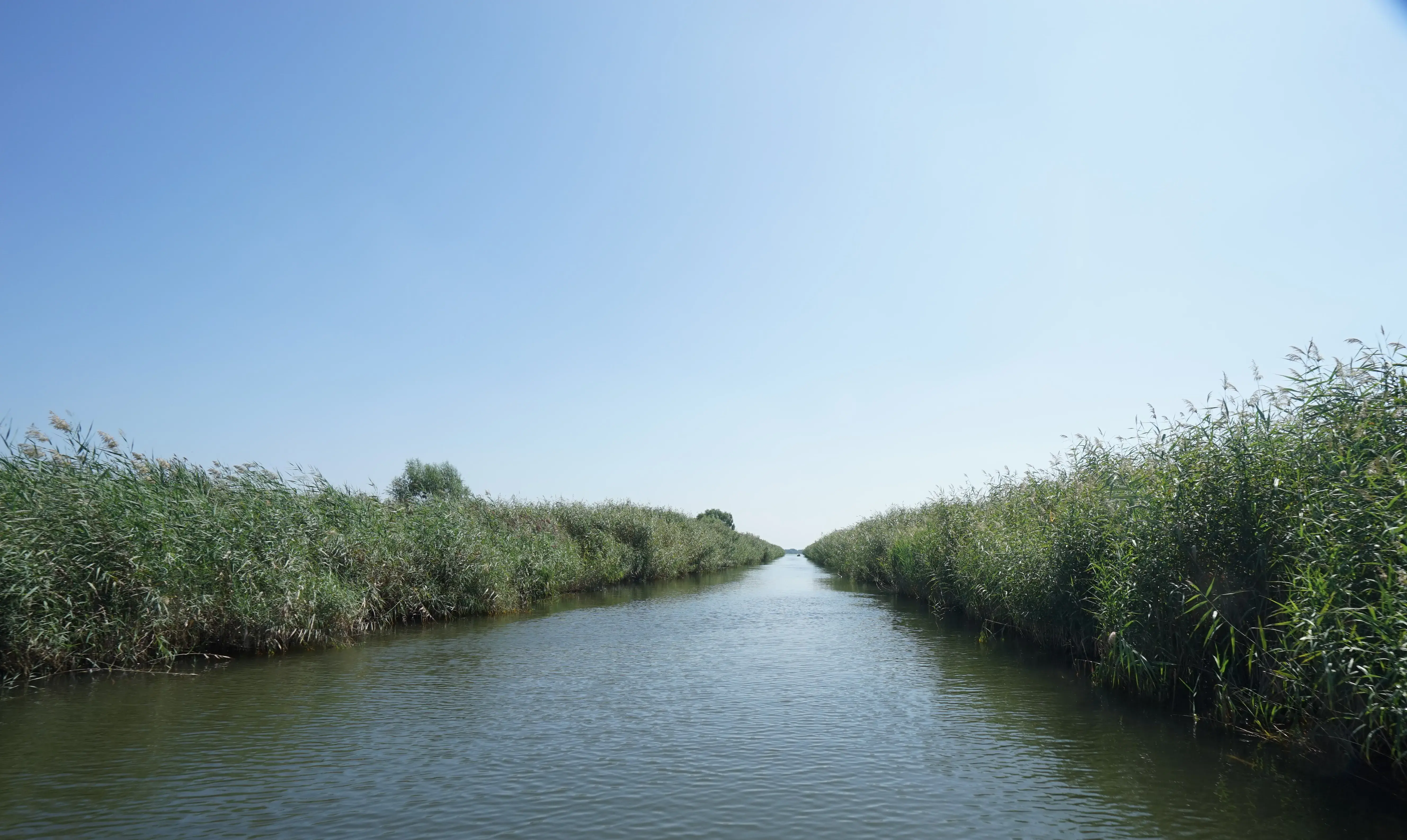 北京白洋淀旅游攻略_白洋淀旅游点_攻略白洋淀旅游北京路线
