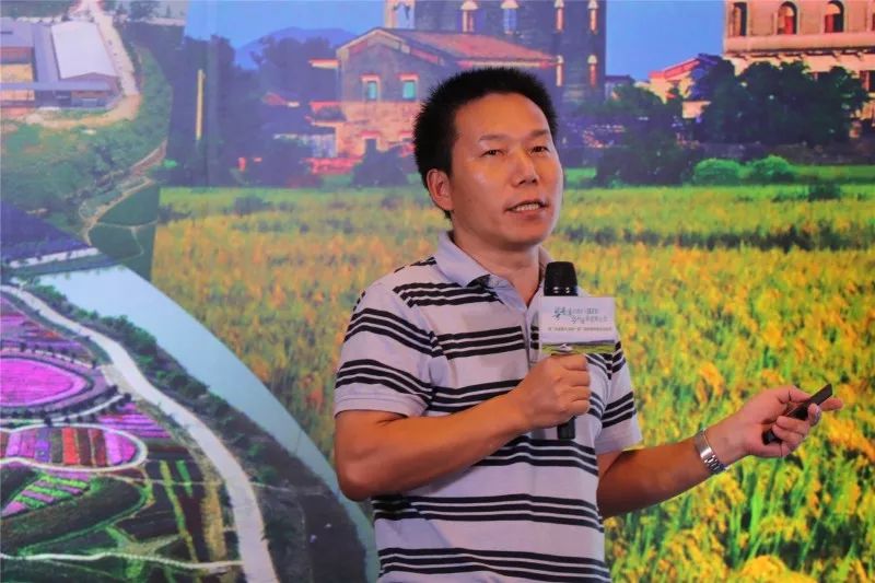 广州开平碉楼旅游攻略_广东开平碉楼游玩攻略_广州开平碉楼一日游