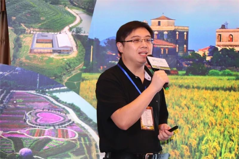 广东开平碉楼游玩攻略_广州开平碉楼旅游攻略_广州开平碉楼一日游