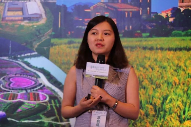 广州开平碉楼一日游_广东开平碉楼游玩攻略_广州开平碉楼旅游攻略