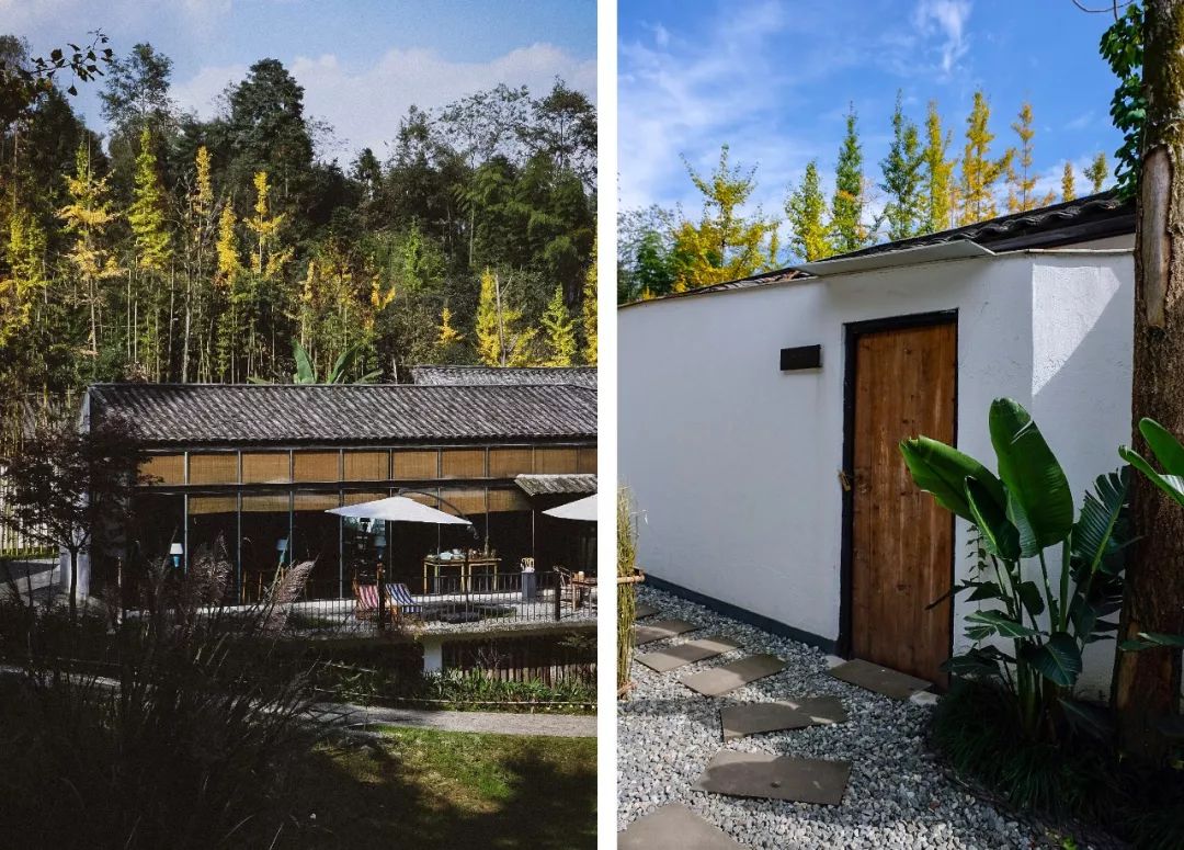 时尚好管家杂志_管家时髦词_管家的时尚称谓