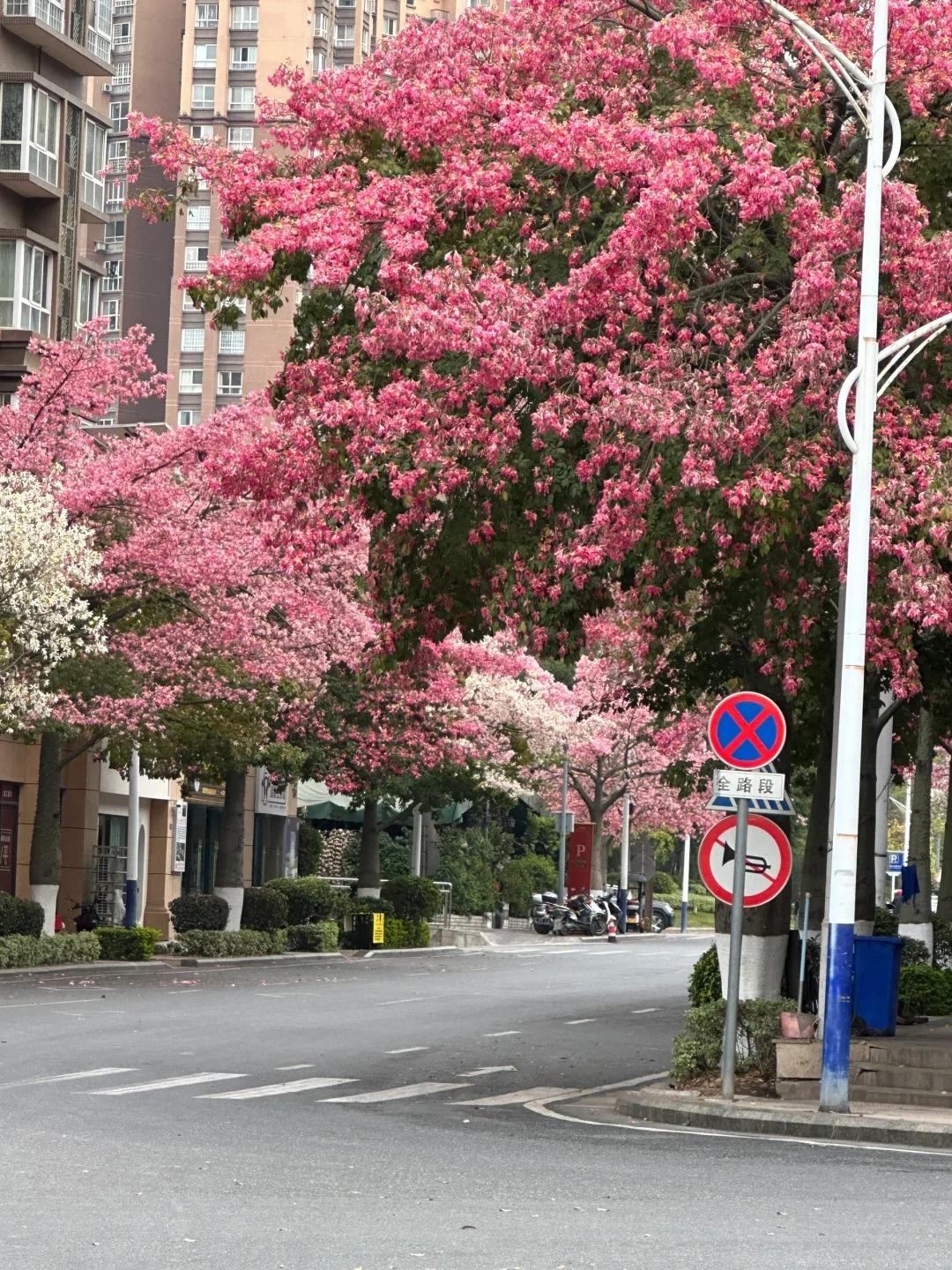 攀枝花米易旅游攻略_攀枝花米易旅游攻略自驾游_攀枝花米易旅游图片