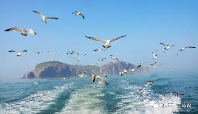 福地传奇水上乐园在哪_福地传奇水上乐园旅游攻略_传奇水疗温泉酒店正规吗