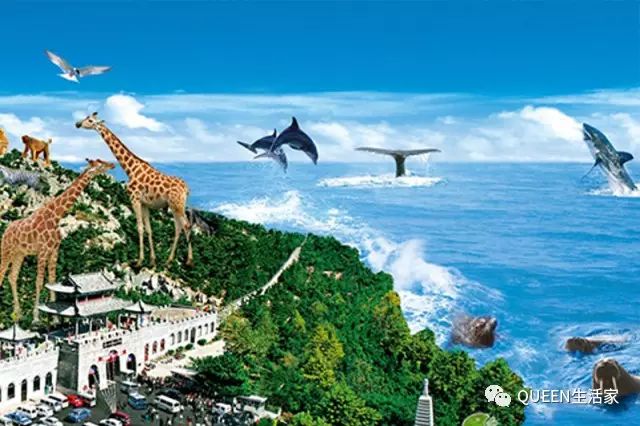 福地传奇水上乐园旅游攻略_传奇水疗温泉酒店正规吗_福地传奇水上乐园在哪