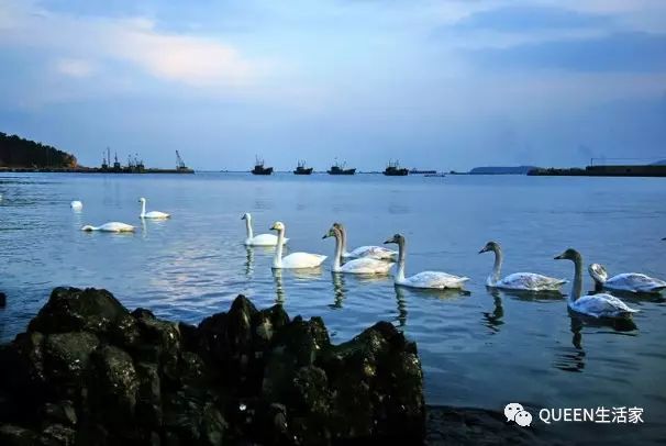 传奇水疗温泉酒店正规吗_福地传奇水上乐园在哪_福地传奇水上乐园旅游攻略